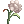 Ícone de Aromatic Flower