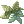 Ícone de Manjericão