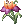 Ícone de Flor Misteriosa