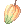 Ícone de Cacau