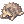Ícone de Boneca de Guaxinim